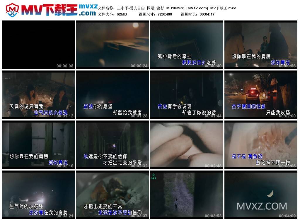 王小予-爱去自由_国语_流行_MD103938